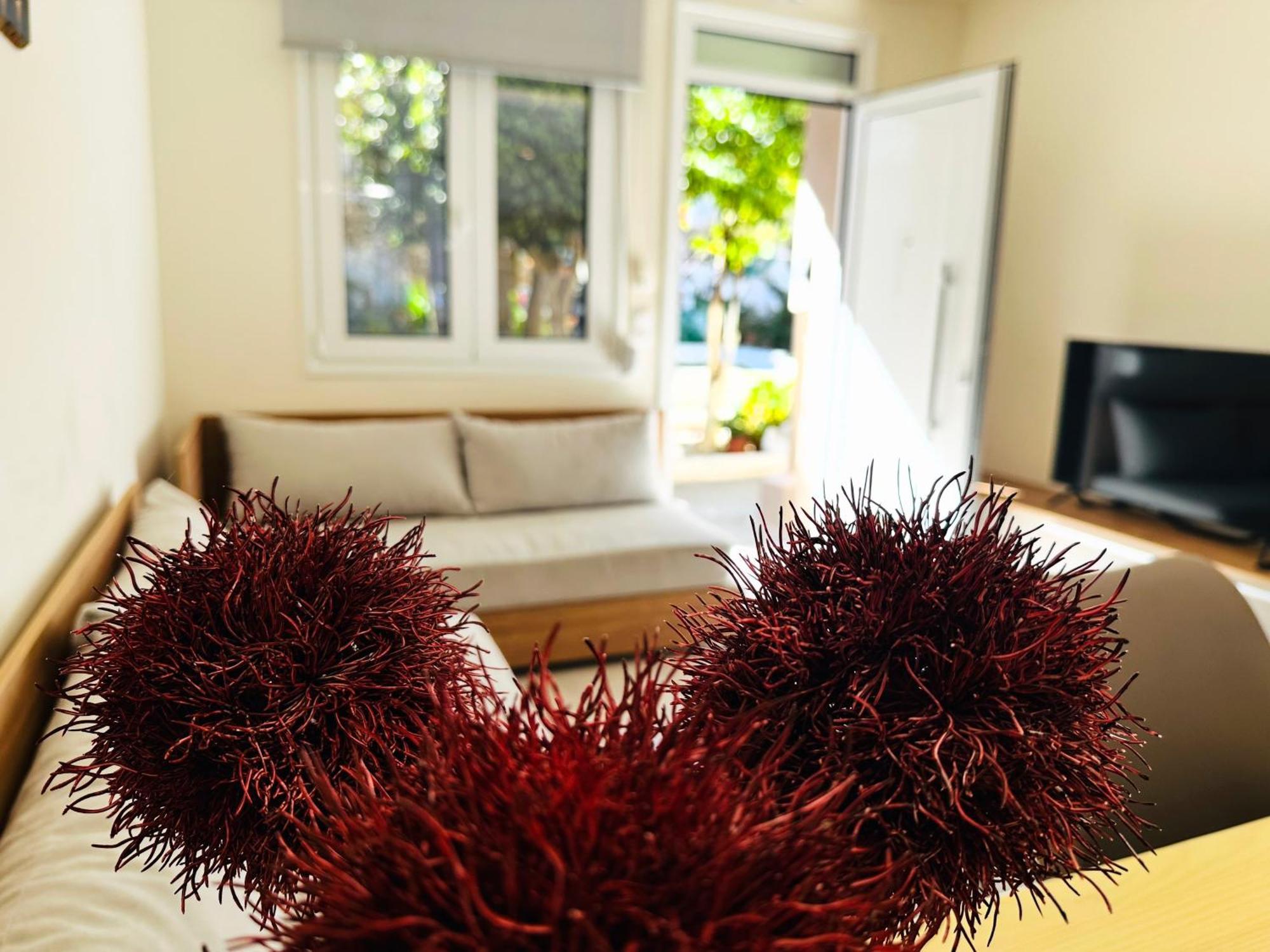 Matina Room خانيا المظهر الخارجي الصورة